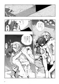 (C78) [Article 60 of Criminal Code (Shuhan)] Anthurium.EA01 Shinsouban (Skies of Arcadia)