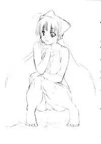 (C72) [Ikibata 49ers (Nishiki Yoshimune)] Zero Revo 2 (Zero no Tsukaima)