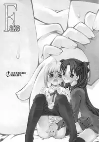 (C65) [Sashichigai-dan (Kusano Kouichi, RAYMON)] Fake (Fate/Stay Night)