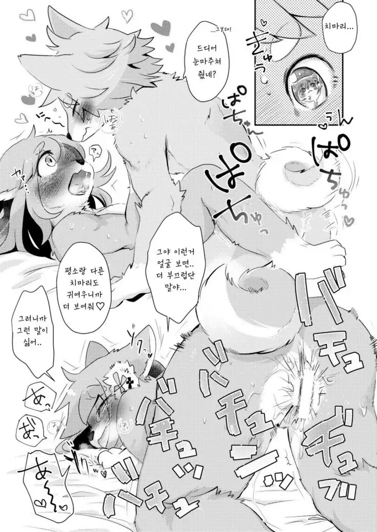 Hanakami Meeting | 수줍은 짝짓기