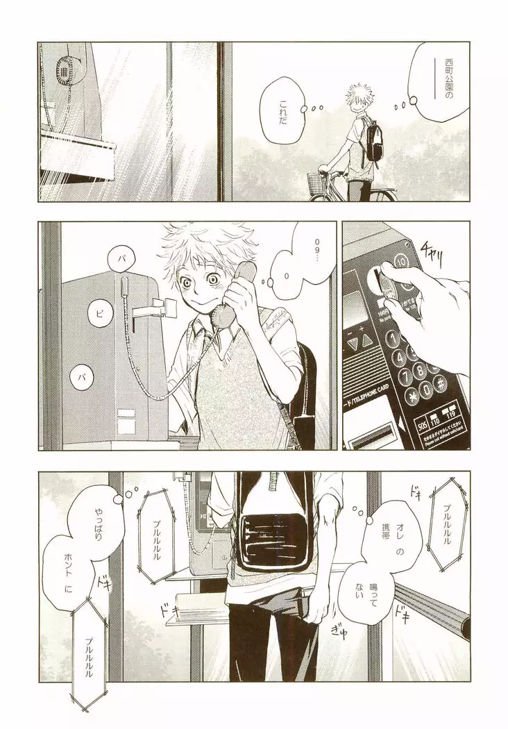 Akanesasuhibi