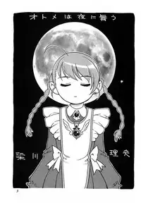 (C70) [GuruGuru Honpo (Yanagawa Rio)] Otome wa Yoru ni Mau (Mai-Otome)