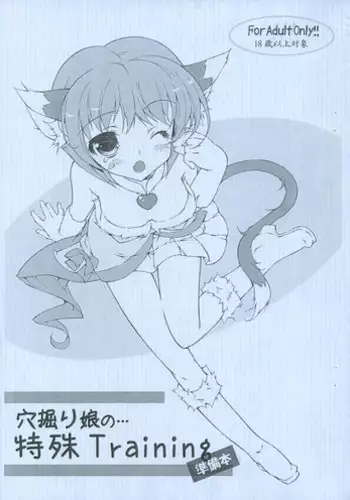 [Konoha] Anahori musume no... tokushu Training Jumbigou (C75)