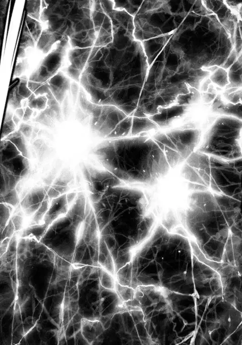 Satanophany / Satanofani Ch. 1: Amagi Chika