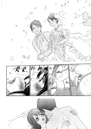 Netoraserare Vol.1-3