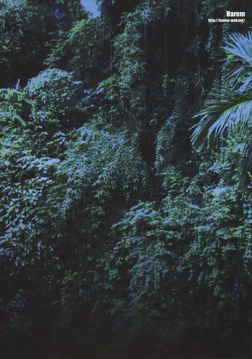 Hunter-chan dai Pinchi!!