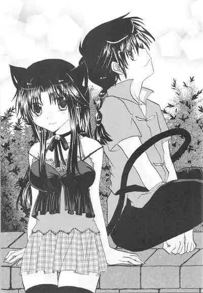 [RxA Supremacist (Yagami Raimu, Morisaki Yoshino, Kisaragi Mizuka)] Iinazuke ga Neko ni Narimashite. (Ranma 1/2)