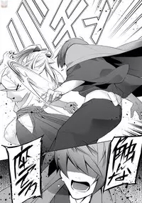 comic marginal vol.11