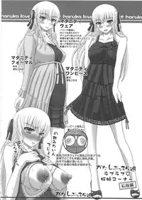 [Shiawase Kyouwakoku (Shiawase no Katachi)] Katashibu 25-shuu [English] [SaHa]