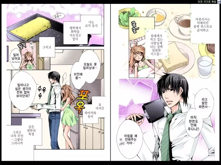 Naisho no Love Mariage | 비밀의 결혼