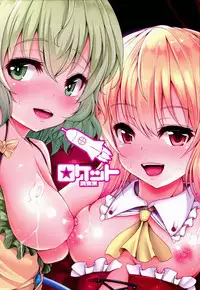 (C89) [Rocket Chousashitsu (Koza)] KoiFla Dream Party (Touhou Project) [Chinese] [Sheffiled個人漢化]