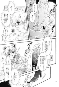 (C67) [Kotori Jimusho (Sakura Bunchou)] chanson de I'adieu (Sailor Moon)