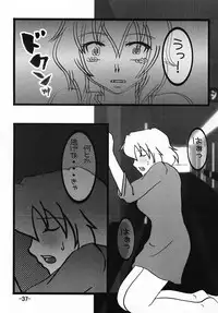 (C69) [Studio BOXER (Machumoto Nyao, Shima Takashi, Taka)] HOHETO 32 (Gundam SEED DESTINY)