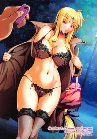 (C93) [Metabo Offensive Smell Uproar (Itachou)] F3 -Wana Ochi- (Mahou Shoujo Lyrical Nanoha) [Chinese] [輝夜漢化]