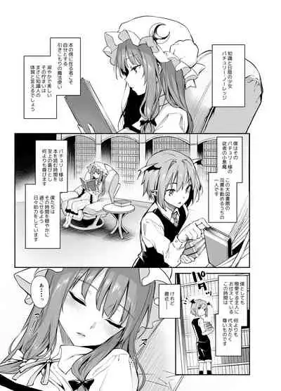 [Anmitsuyomogitei (Michiking)] Inemuri Jouzu no Daitoshokan (Touhou Project) [Digital]