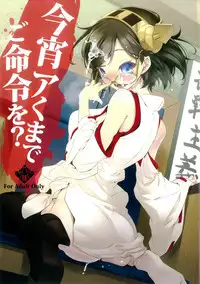 (C85) [Nilitsu Haihan (Nilitsu)] Koyoi Akuma de Gomeirei o? | What's your order tonight before you are satisfied? (Kantai Collection -KanColle-) [Chinese] [无毒漢化組]