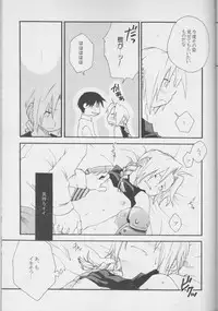 [MIX*SCRAMBLE (Kasuga Yume)] TRUE SECRET (Fullmetal Alchemist)