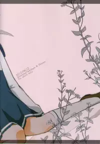 (C82) [Niratama (Sekihara, Hiroto)] Teikakazura no Hana to Hototogisu (Smile Precure!)