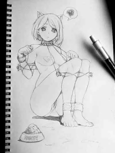 蘑菇的杂图集合