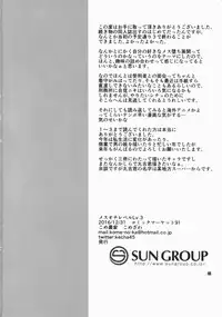 (C91) [Kome Nouka (Komezawa)] Mesu Ochi Level Lv.3