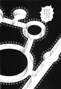 [Miyama Noboru] Cambrian Vol. 3