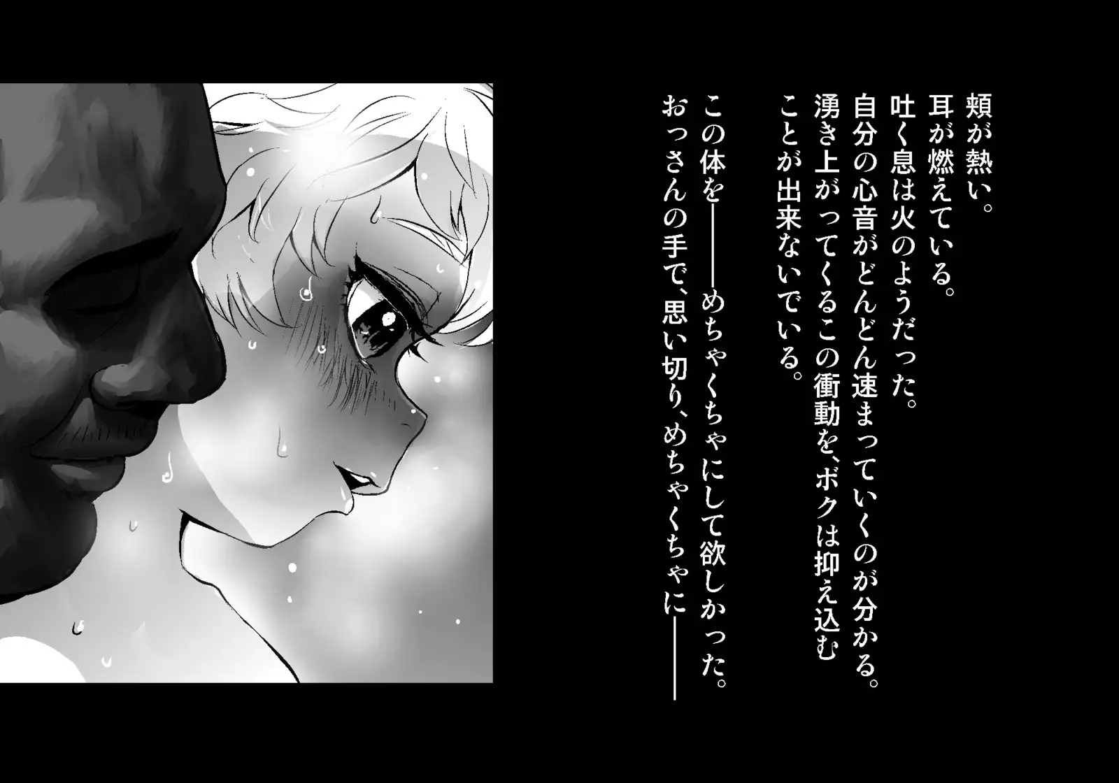 フェアリーセティ