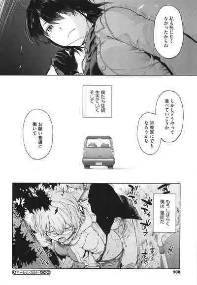 Harem Cult side CULT