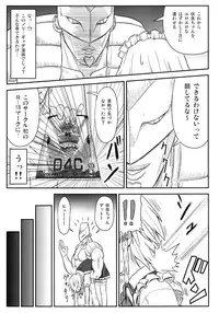 [Sumeragi Designs (Sumeragi Seisuke)] D4C (Touhou Project) [Digital]