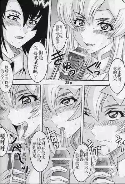 [St. Rio (Kitty, Kouenji Rei)] COSMIC BREED 5 (Gundam SEED DESTINY) [Chinese] [零食汉化组]