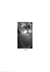 (C93) [LTM. (Taira Hajime)] Nise Dragon Blood! 23.