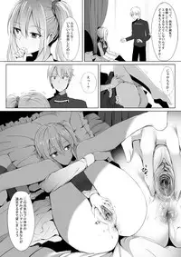 Shinomiya no Maid wa Tokojyouzu~ Professional Jintai Onahole