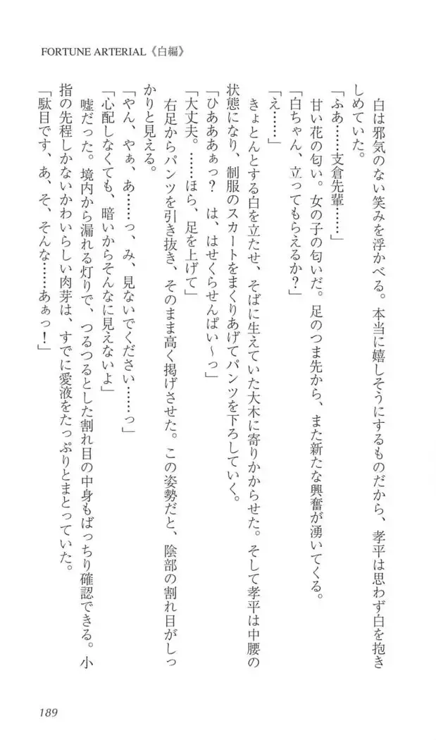 FORTUNE ARTERIAL 白編