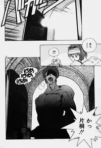 [Mizushima Eri] Ojohsama Dai-Pinch!