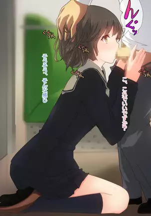 Akutoku Chikan Gekitai Seminar ~Higaisha o Kuimono ni Suru Koushuukai no Jittai~