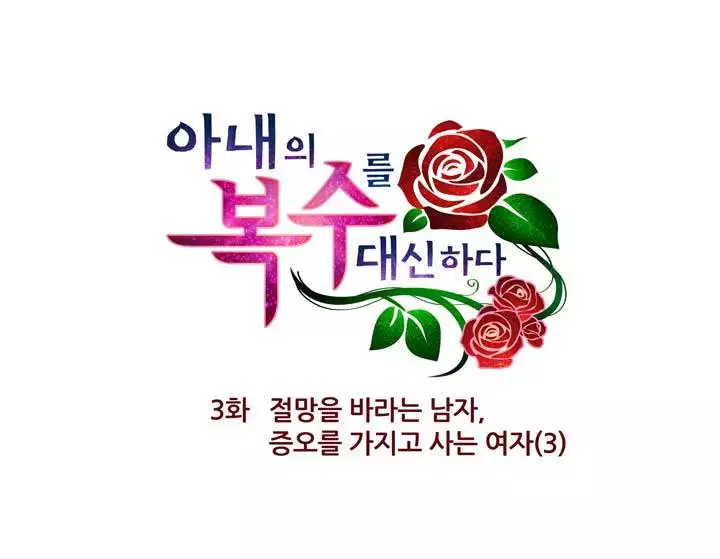 Doing My Wife's Revenge Instead of H