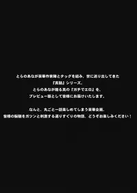 [Kabushikigaisha Toranoana (Shinano Yura)] Shinzui VOL.6 Shinzui Preview! Shinano Yura Hen