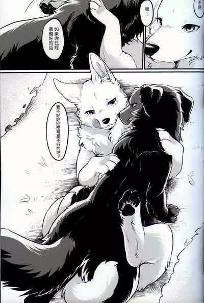 Hakoniwa Jealousy | 箱庭之妒