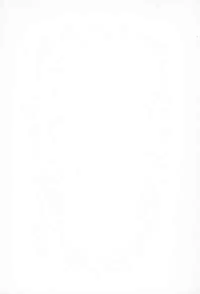 Burney’s Bunny Shop Shinsoukaiten!