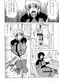 [J's Style (Jamming)] LUNA STLIKE Prototype (Gundam SEED Destiny)