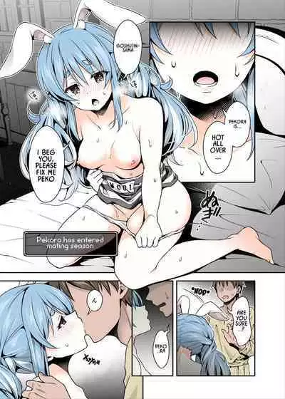 Yasei no Usagi ga Nakama ni Naritasou ni Kochira o Miteiru | Wild Rabbit Is Looking At You As If It Wants To Be Friends