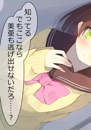 Ore no Kanojo ni wa Nekomimi ga Haeteiru