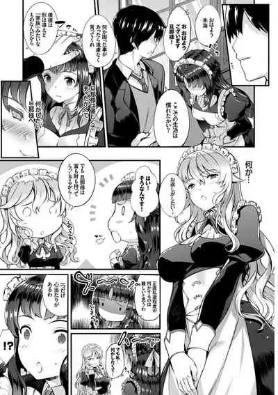 Nikutai Gohoushi ga Daisukikei Maid