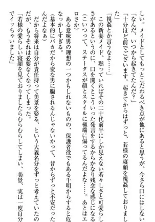 年上メイドの新婚日記
