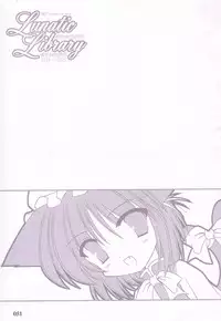 (C74) [Reverse Noise (Yamu)] Lunatic Library (Touhou Project)