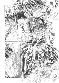 (C68) [Studio Wallaby (Seishinja)] DOKI!! to shita? 2 (Ichigo 100%)