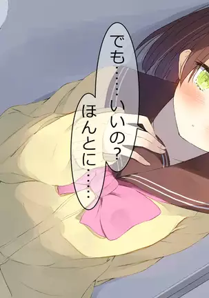 Ore no Kanojo ni wa Nekomimi ga Haeteiru