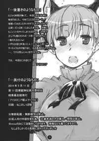 (Reitaisai 11) [Ankoku Bousougumi (Ainu Mania)] Kaenbyou demo Nekodamashi (Touhou Project)