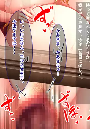 Zessei no Bijo Ouhi o Orc Ou ga Inran Hi e Ryoujoku Choukyou!!