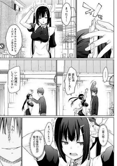 Houshi Shuzoku ga Yattekita!