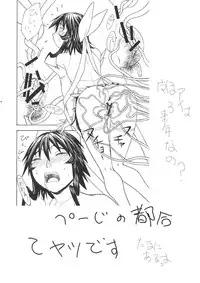 (C68) [From Japan (Aki Kyouma, Funato Hitoshi)] FIGHTERS GIGAMIX FGM Vol.24 (Rumble Roses)